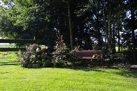 Foto aus der Fotogruppe 