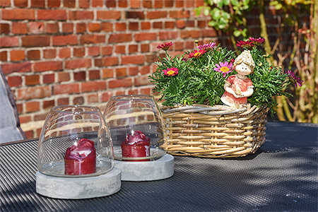 Foto aus der Fotogruppe 