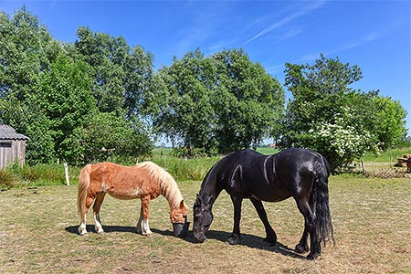 Foto aus der Fotogruppe Jetzt gibt es erstmal was Leckeres!