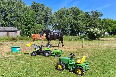 Foto aus der Fotogruppe Spielen und toben nach Herzenslust