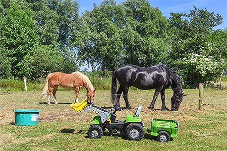 Foto aus der Fotogruppe Spielen und toben nach Herzenslust