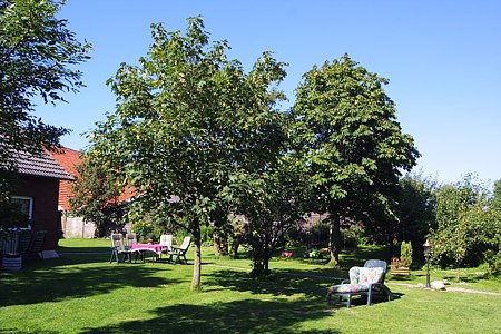 Foto aus der Fotogruppe 