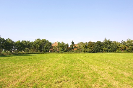 Foto aus der Fotogruppe 