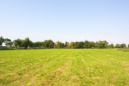 Foto aus der Fotogruppe 