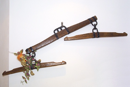 Foto aus der Fotogruppe 