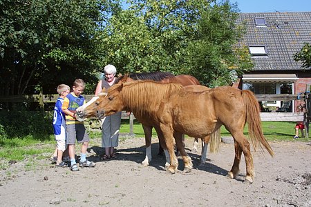Foto aus der Fotogruppe Jetzt gibt es erstmal was Leckeres!