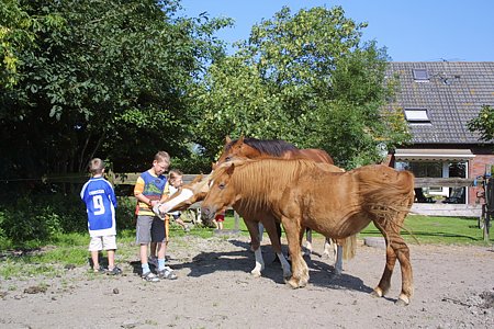 Foto aus der Fotogruppe Jetzt gibt es erstmal was Leckeres!