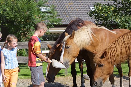 Foto aus der Fotogruppe Jetzt gibt es erstmal was Leckeres!